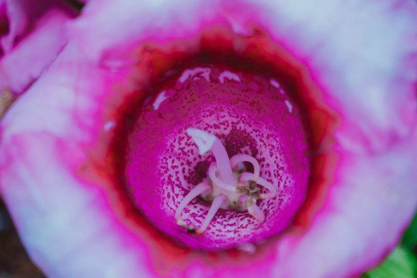 5 στάσεις για να την κάνεις να τελειώσει κλειtoριδικά